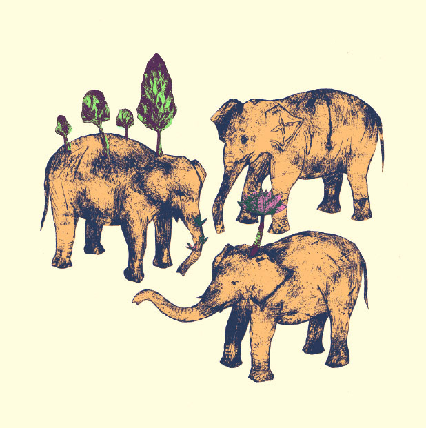 elephant dream etching hindouisme elsa mroziewicz illustration pour enfants