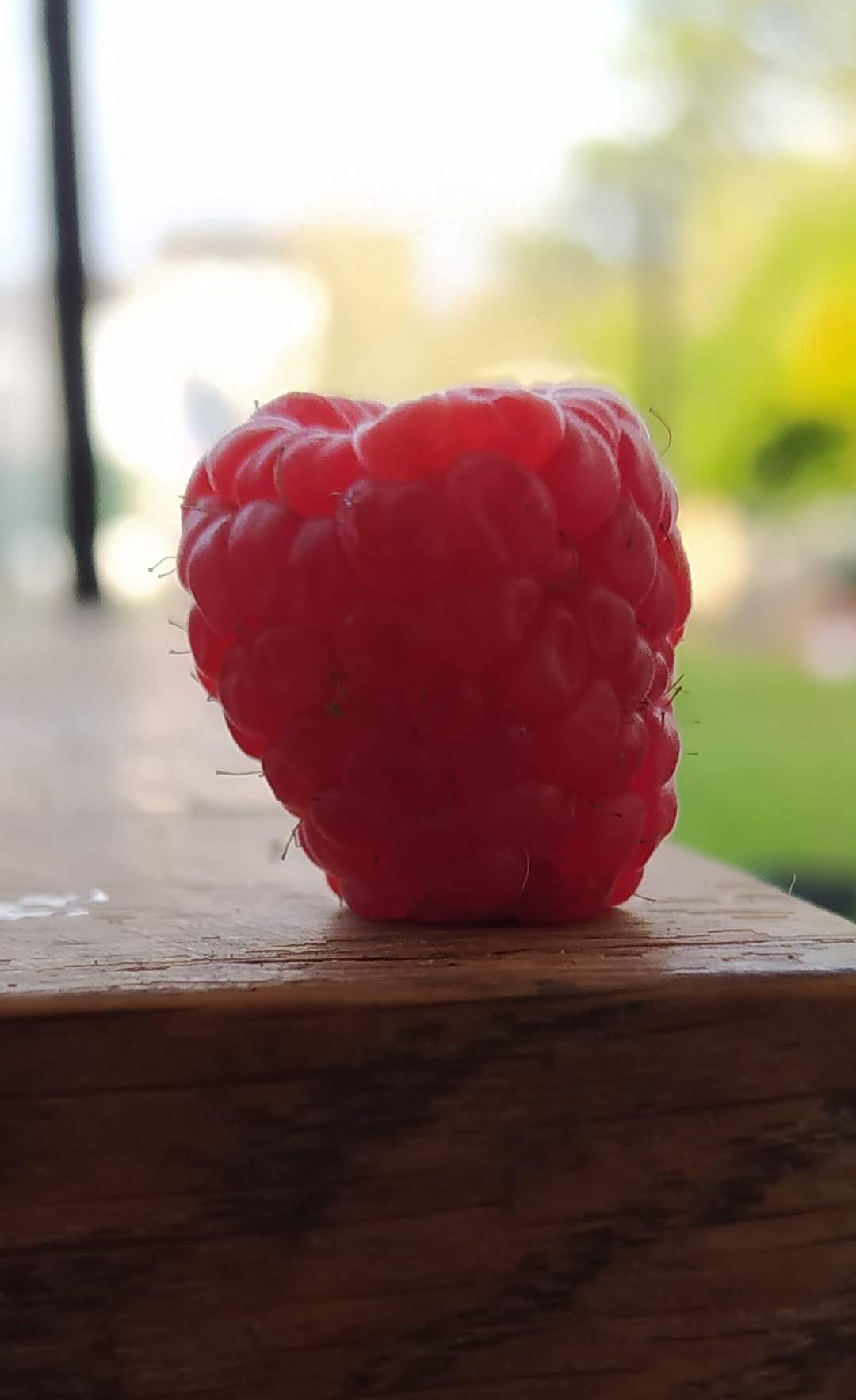 fresh Fruit red