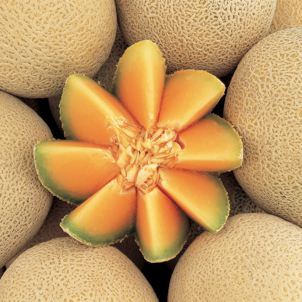 Fruit  FOOD  beauty still life Creative Photography  Product Photography fruits kiwi melon bodegon