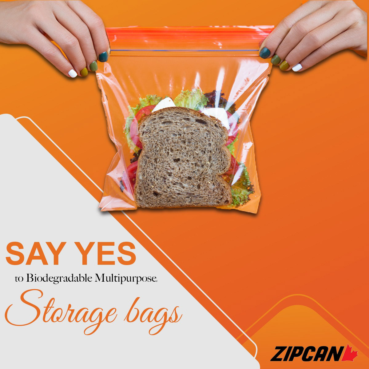 freezer bag plastic bags sandwich bags Zipcan Zipcan Storage bags Ziploc