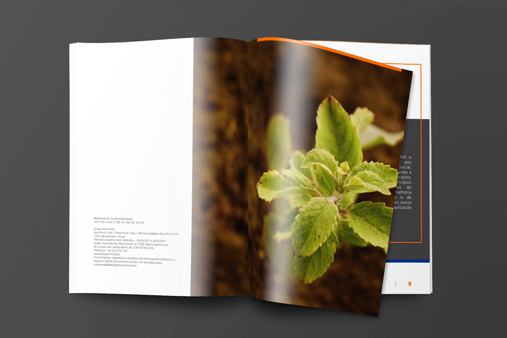 book editorial editorial design  embalagens Fabrica industria Livro Relatório sustentabilidade