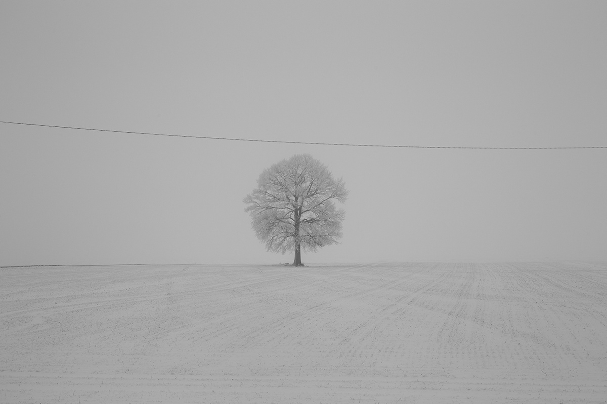 lietuva lithuania fog winter snow Landscape Nature Mindaugas Buivydas minimal Minimalism