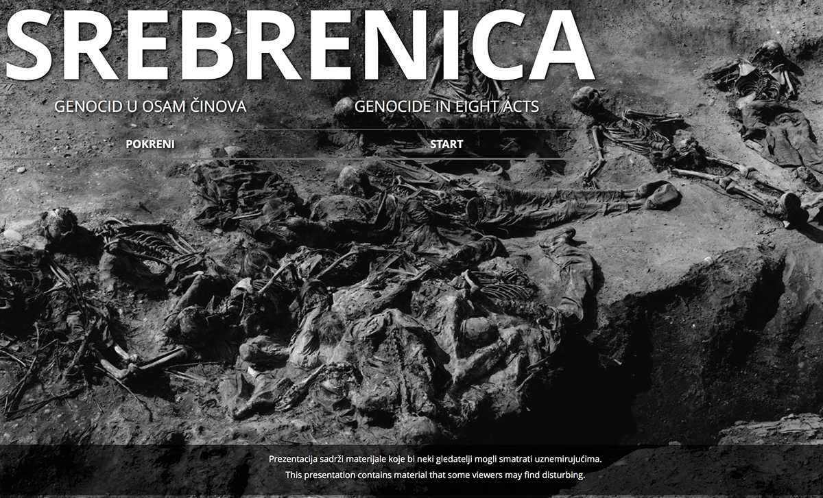 Srebrenica Web Design  ux web development  consultancy