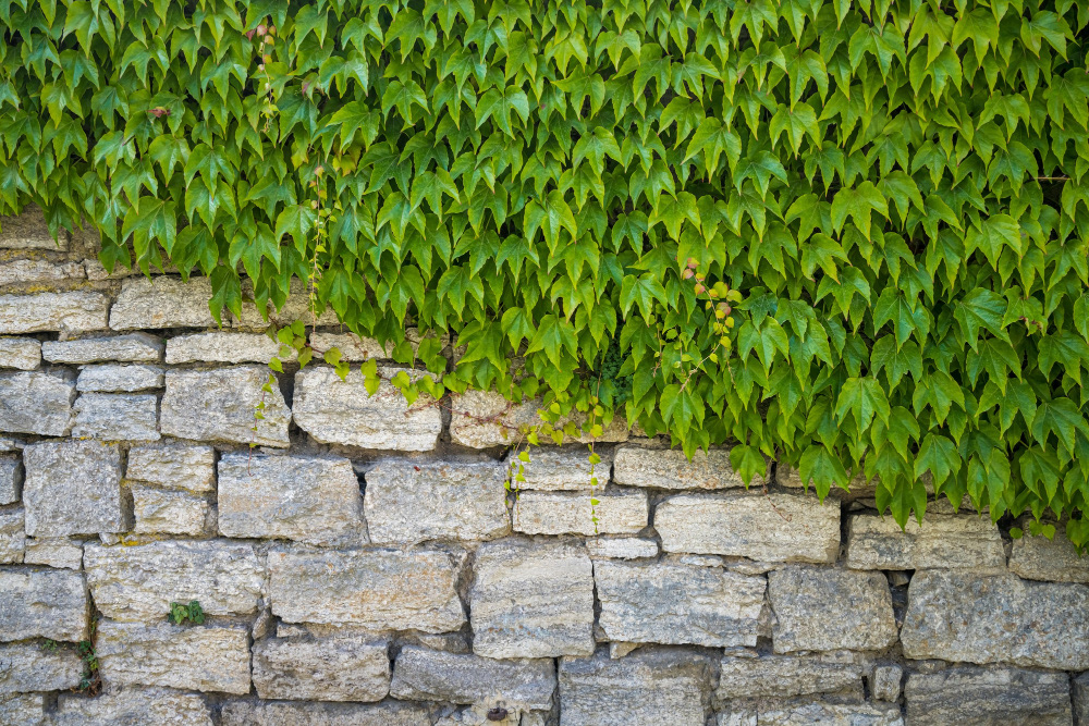 brick retaining wall bush rock