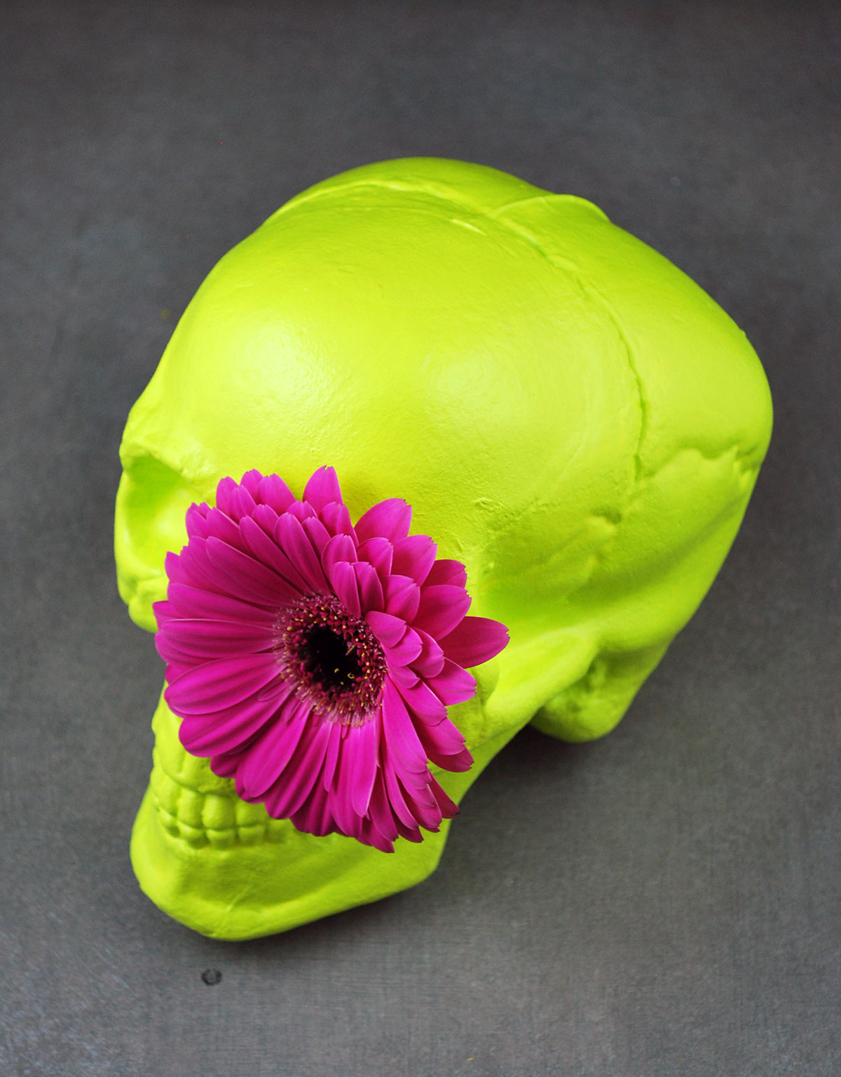 vases skull hairband flower flower vases skull vase hairband vase