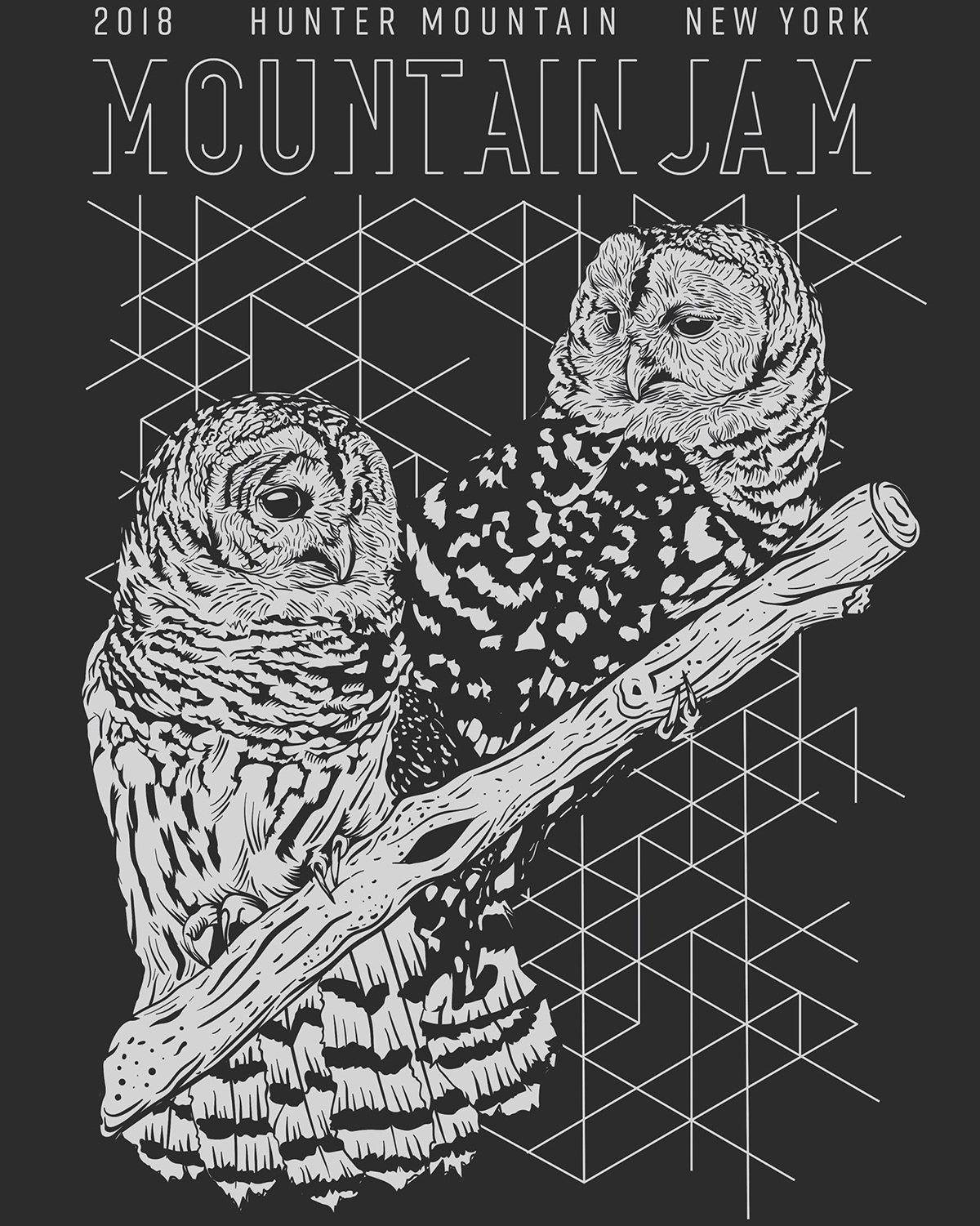 mountain jam bear owl Mandala music festival Nature hippie poster
