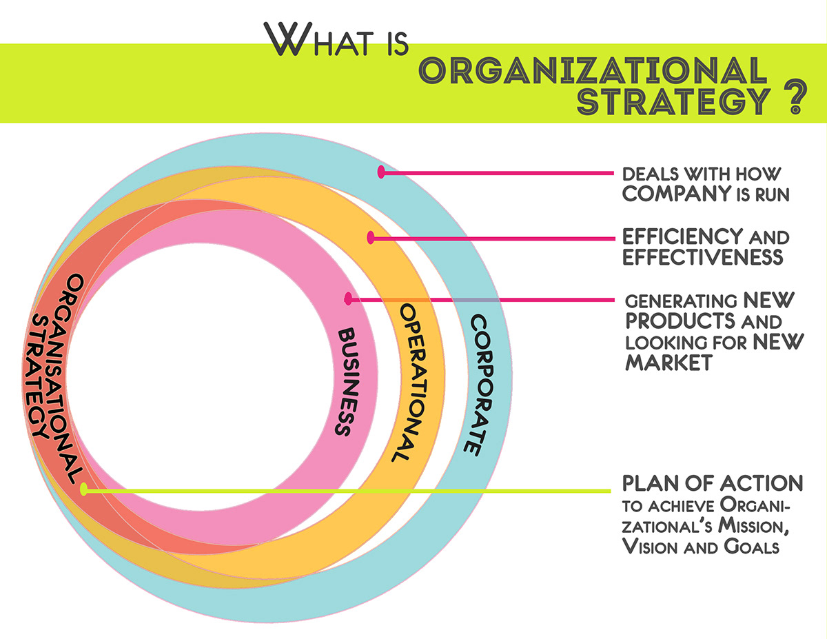 Adobe Portfolio Design Management design strategy Organisation strategy 