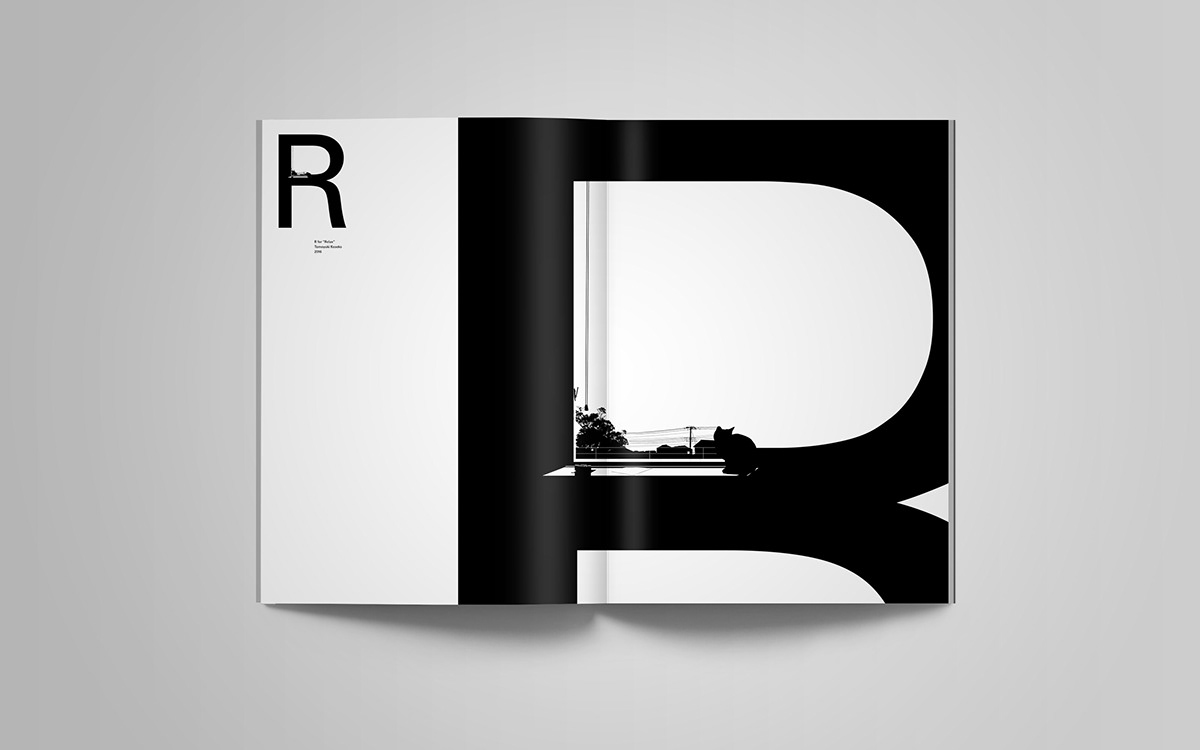 blackandwhite book editorial design  Landscape magazine Silhouette sunset typography   vector Zine 
