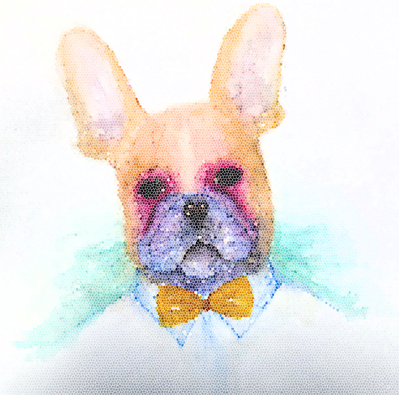 bulldog French paint photoshop watercolor