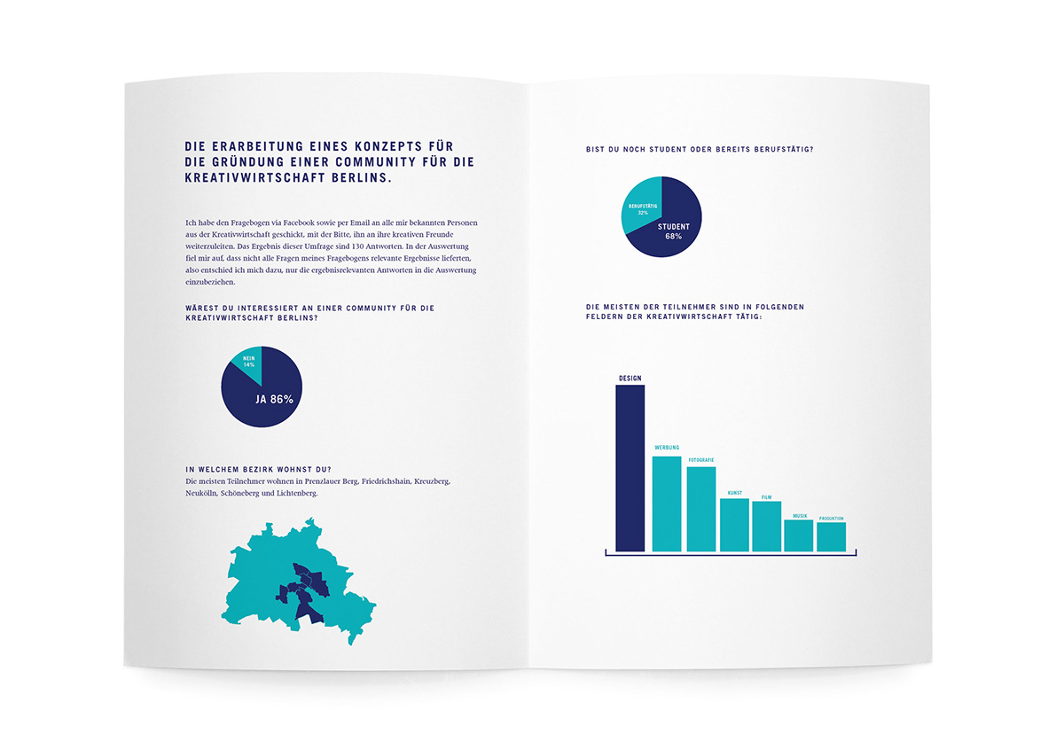 Fragebögen Infografiken  infographics graphics umfrage broschure editorial bachelor Project dokumentation design thinking