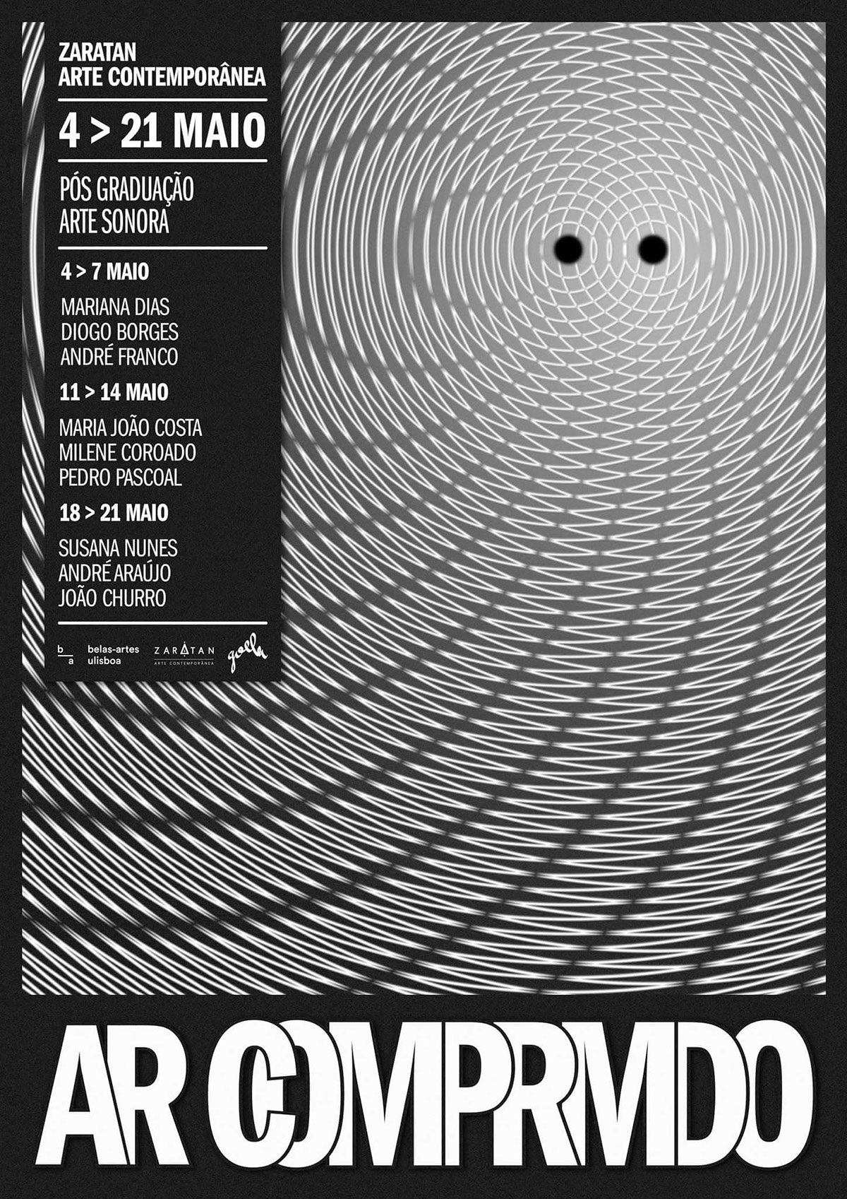 Exhibition  poster sound lisboa zaratan AR comprimido monochrome waves Soundwaves