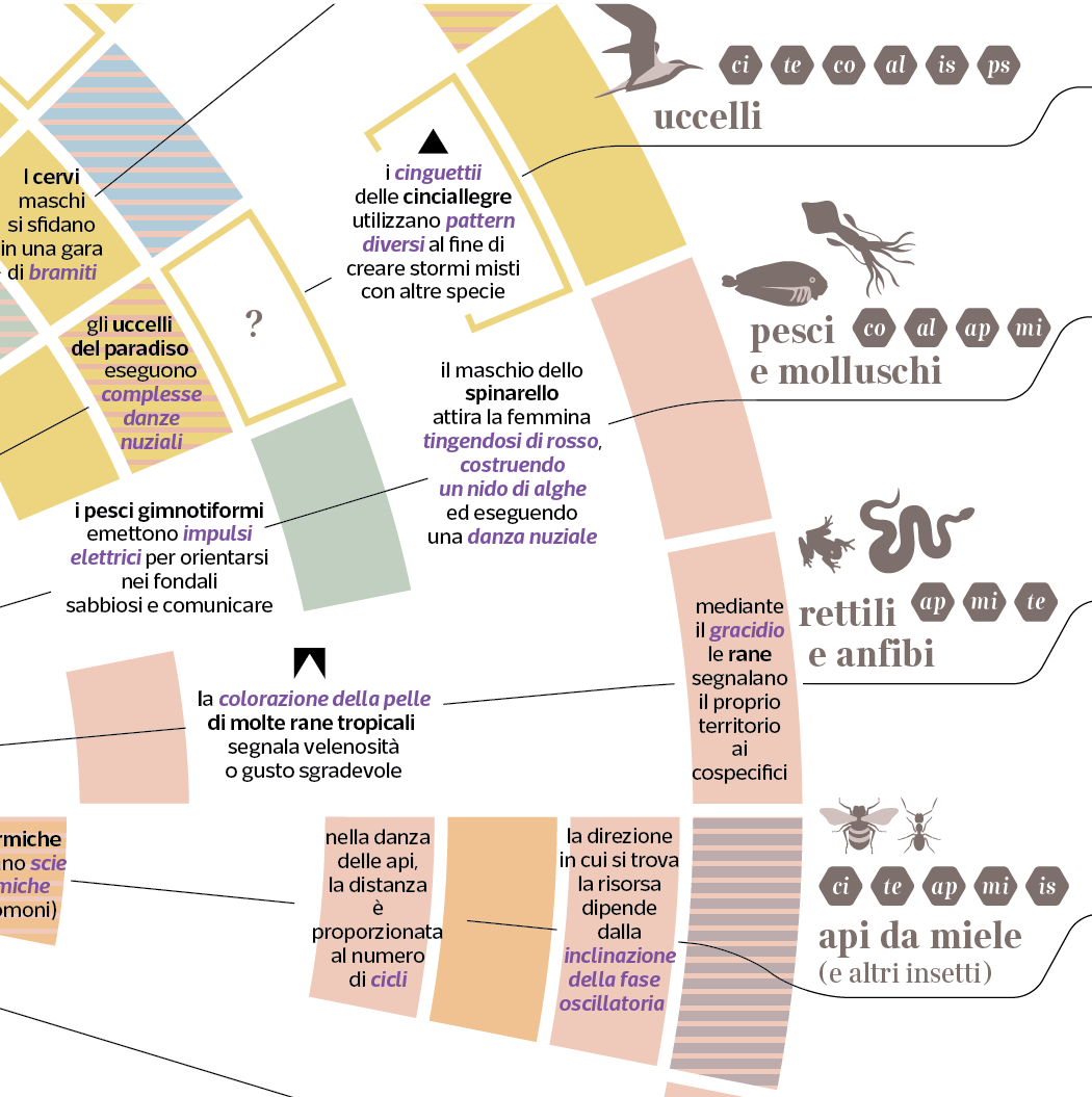 animal communication DATAVISUALIZATION dataviz graphicdesign infographic La_lettura linguistics thedesigntip VisualDesign