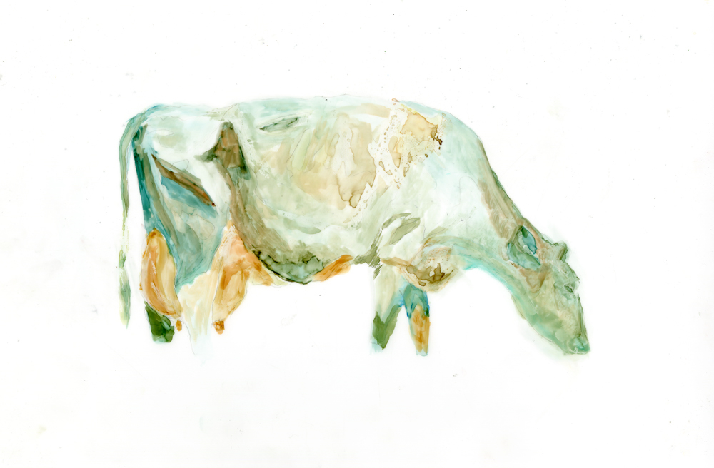 Cattle watercolor animals cows