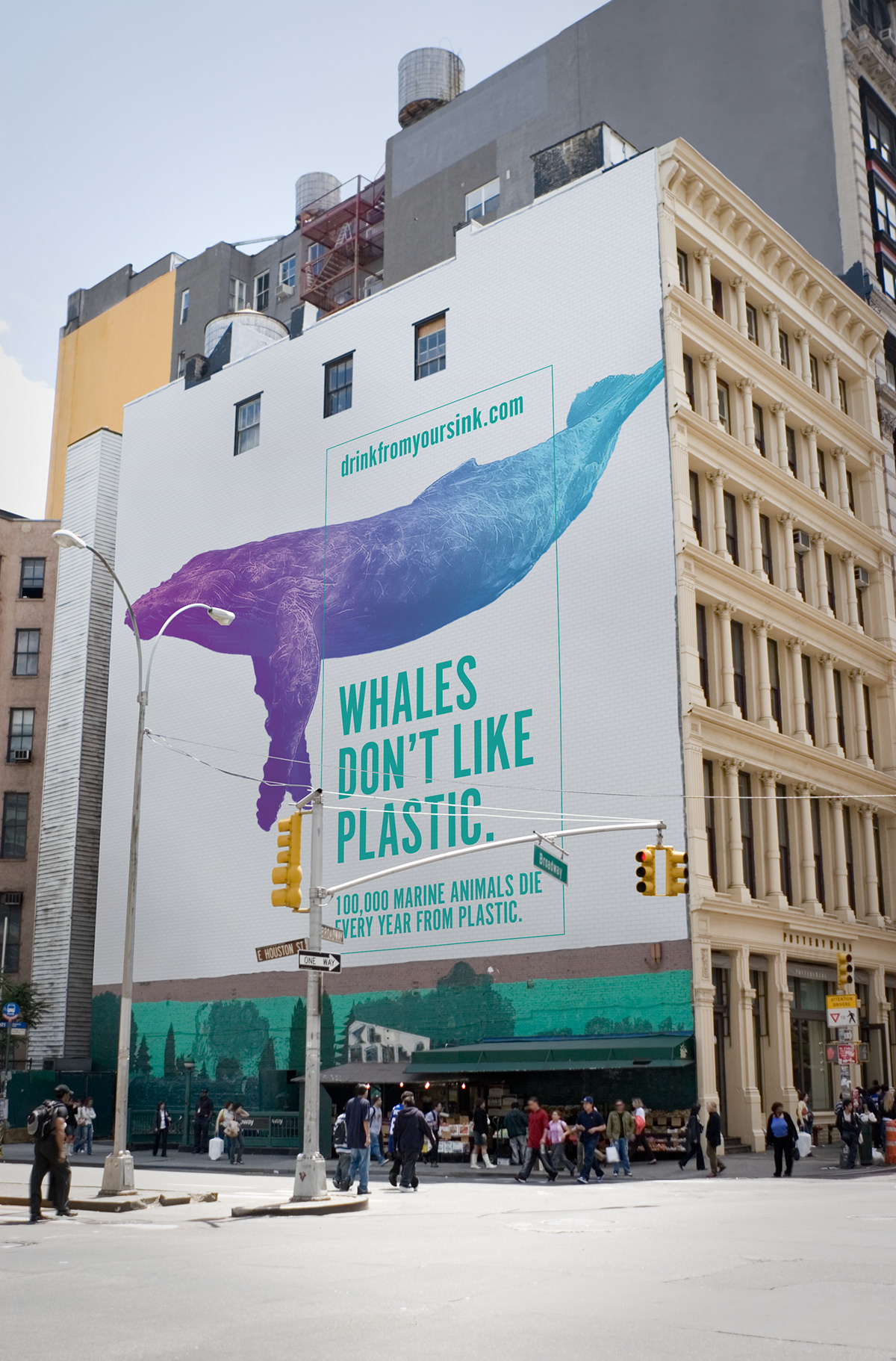 Sustainability environmental green eco Whale animal gradient