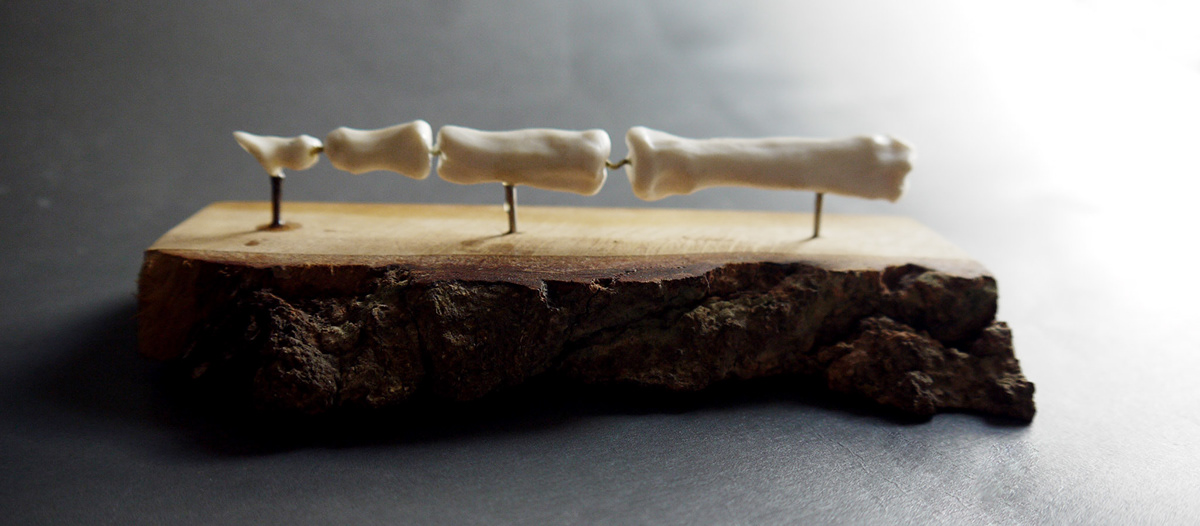 skeleton  art  ceramic  Wood  hand  leg  clavicle collar  bone  finger  tibia  soine  lumbar  manus  digitus
