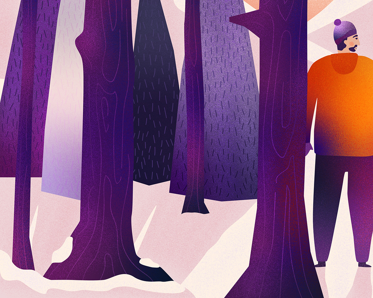 Adobe Portfolio winter snow gradient FOX sunset forest trees purple fire