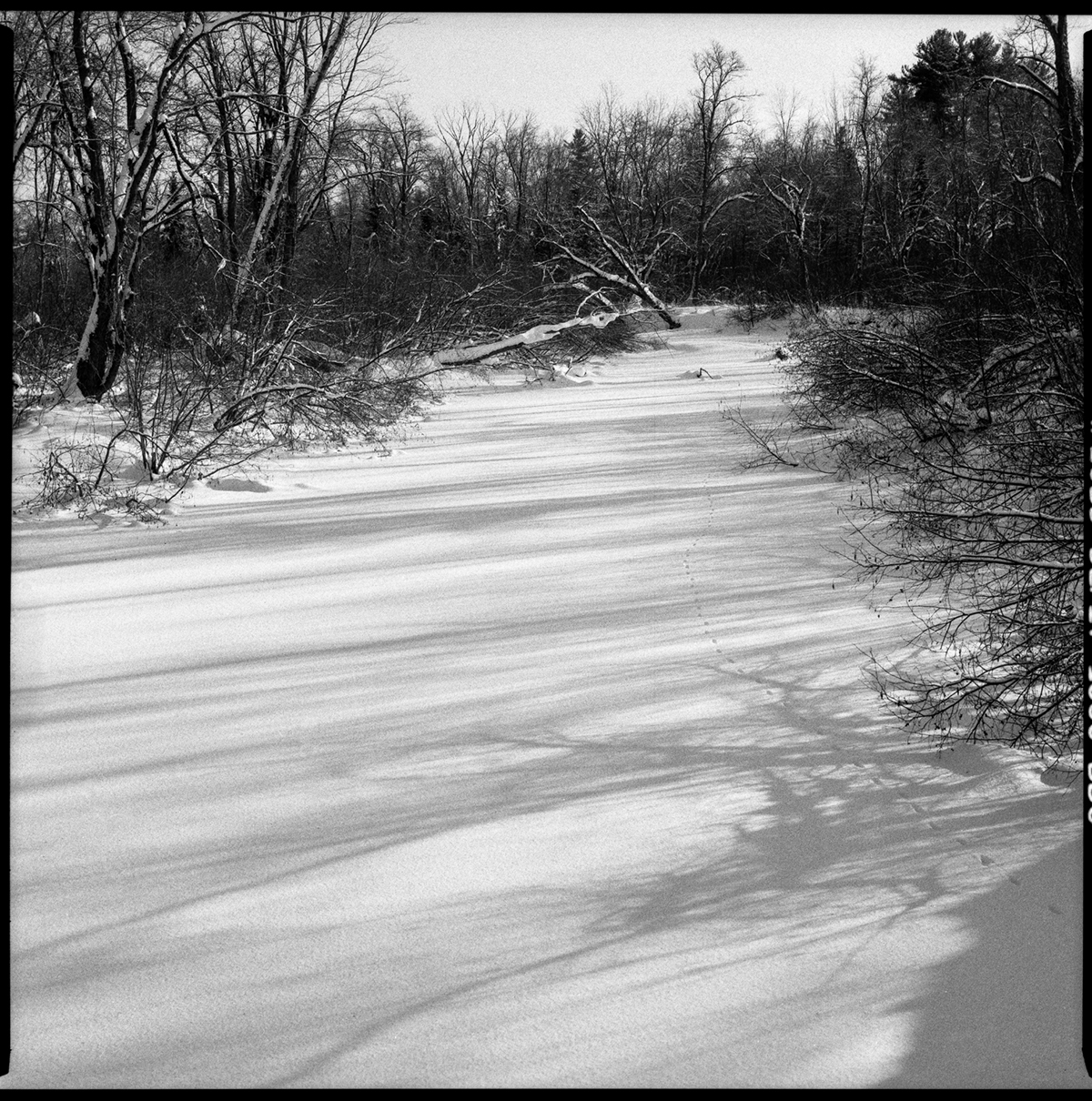 Quebec ILFORD rolleiflex ricohflex film 120 xp2 Delta 3200 Landscape paysage b&w analog winter Sony A7R