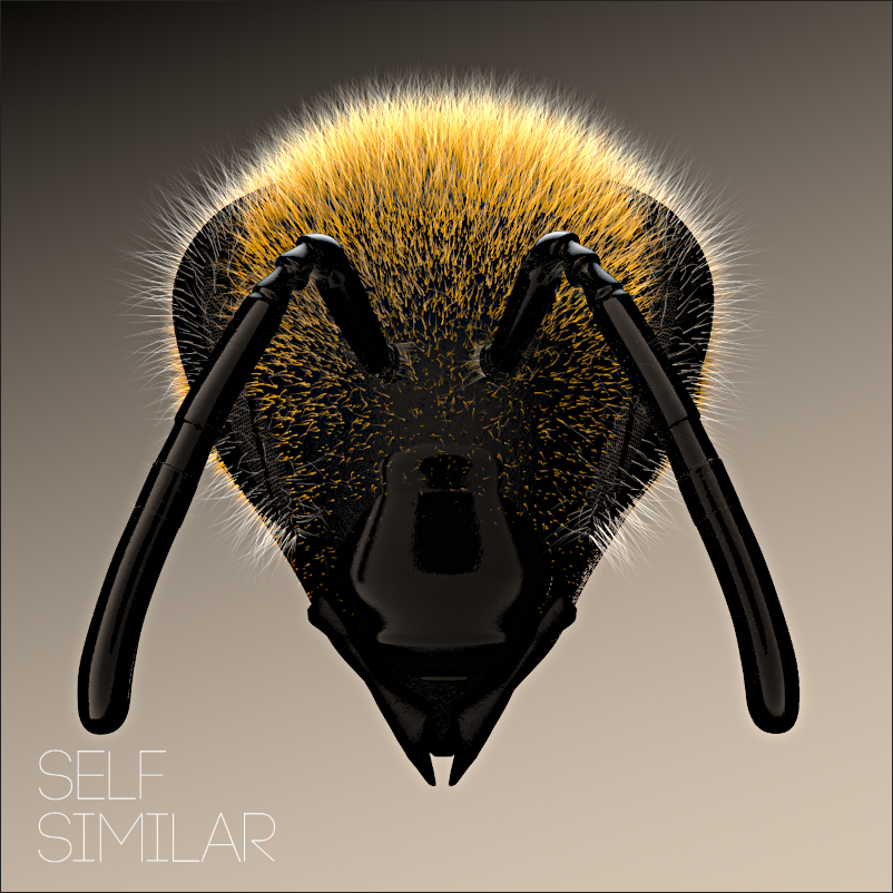 3D  cinema 4d modeling texture hair bee insect bug