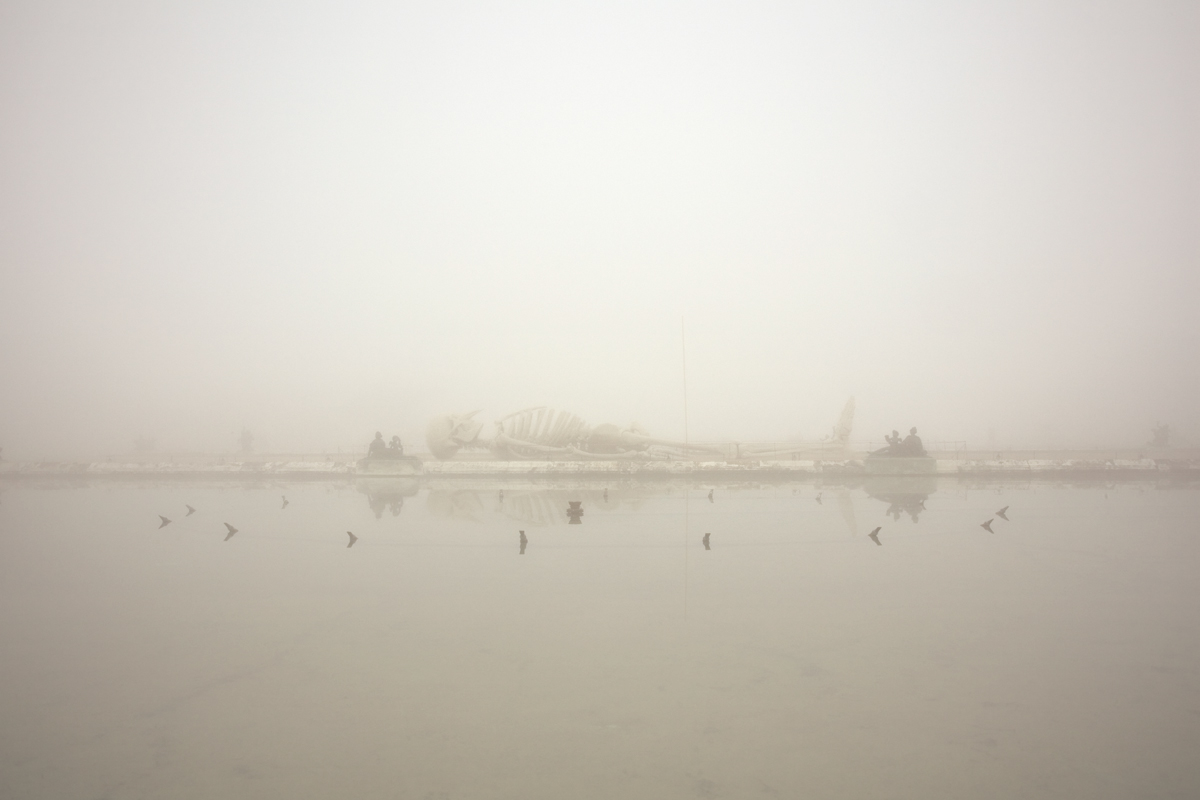 fog versailles brouillard paysage Landscape