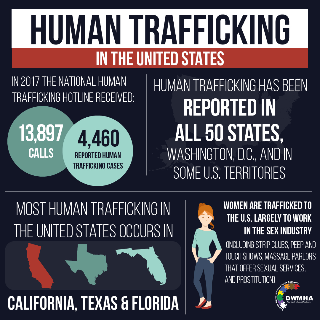 infographic graphic design  human trafficking info sex trafficking ILLUSTRATION 