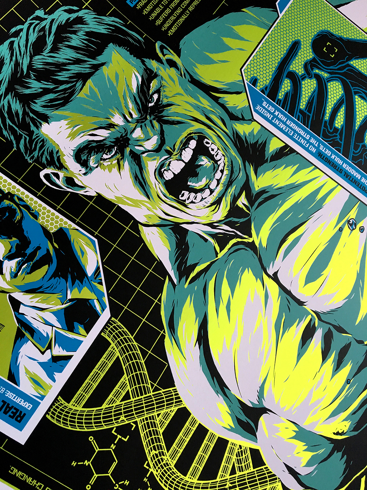 Hulk comics screen print poster diagram incredible hulk hulk comic marvel comics licensed