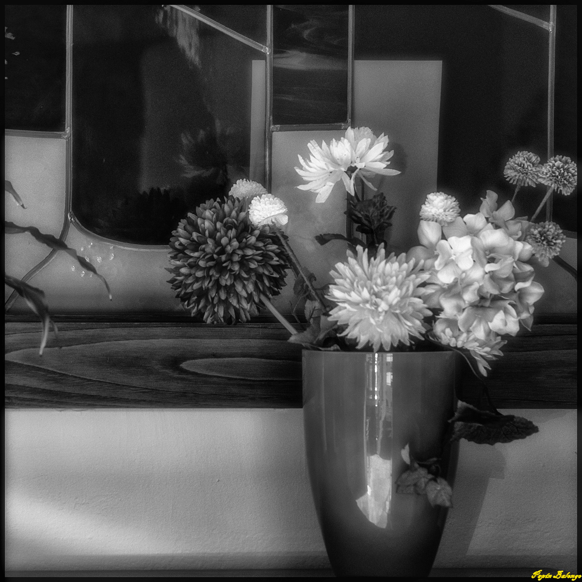 torrelavega gente surrealismo naturaleza Flores blanco y negro abstracto