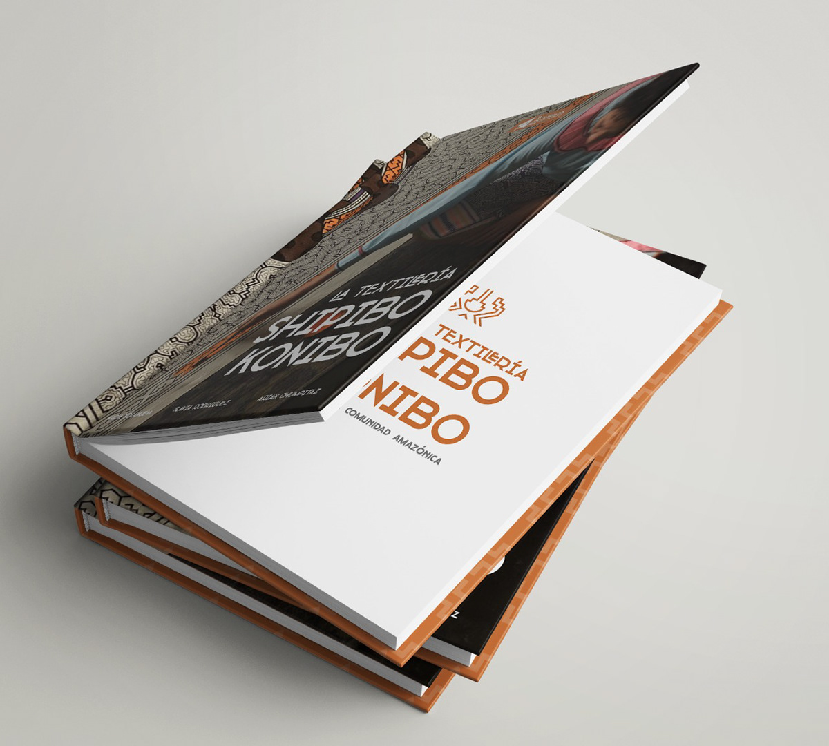 book brand design Diseño editorial editorial editorial design  InDesign libro maquetación visual identity