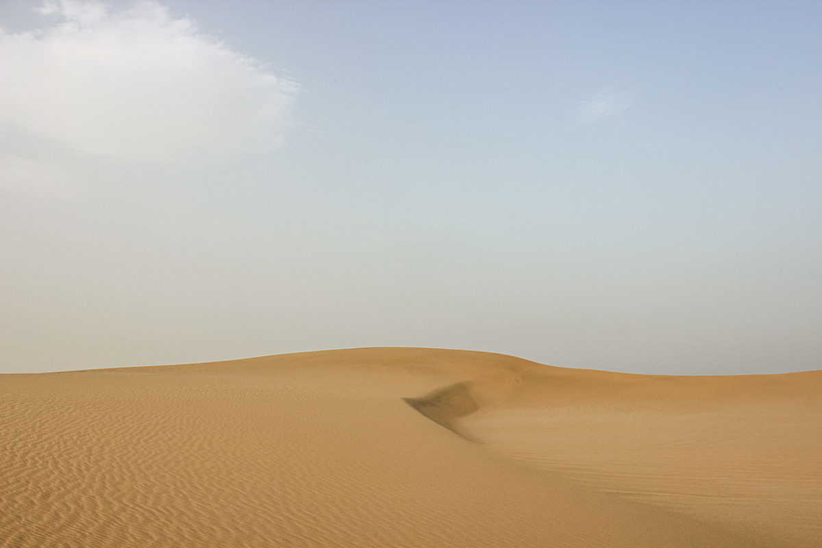 dune Qatar sealine desert sci-fi novel