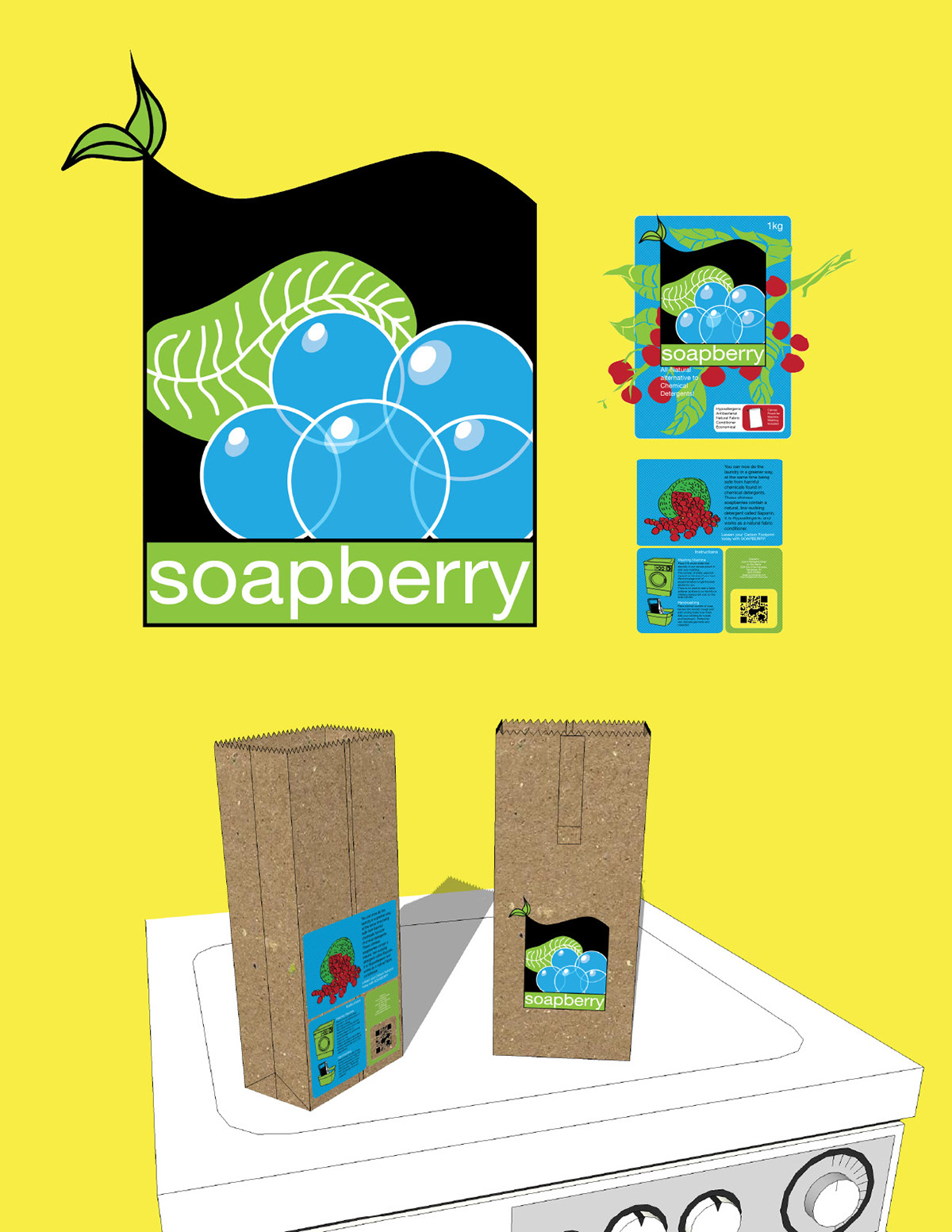 soap soapberry conceptual
