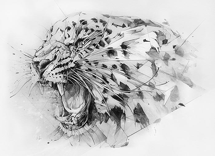 Derwent pencils watercolor graphite accobrands unionjack leopard wild wildcat water-soluble inktense