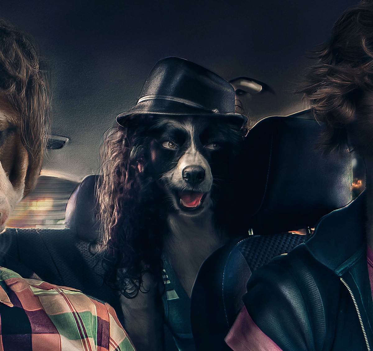 dogs  funny  Car  night  digital  party  retouching  PHOTOMANIPULATION CGI