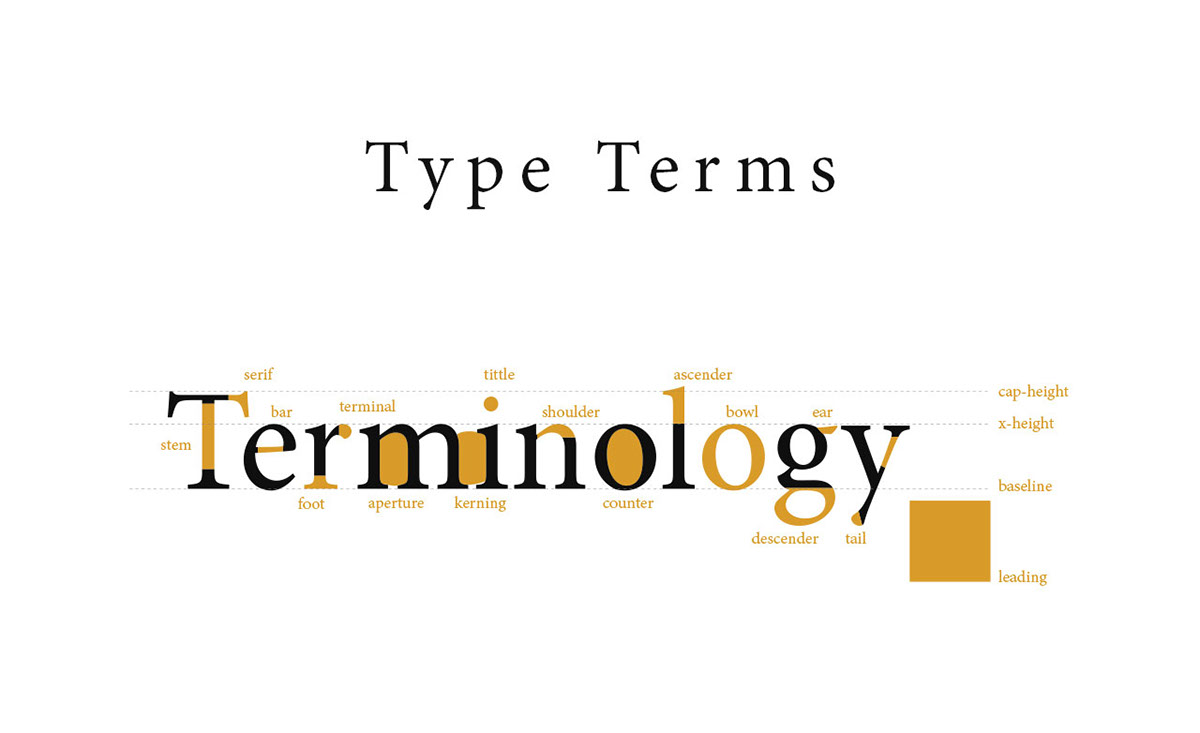 typography   Typeface type terms fonts guide terminology type terminology