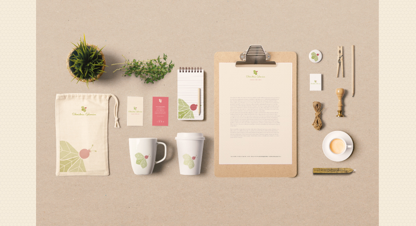 herbalist's shop herbalist Nature color colors vintage medicine shop traditional brand strategy brand identity