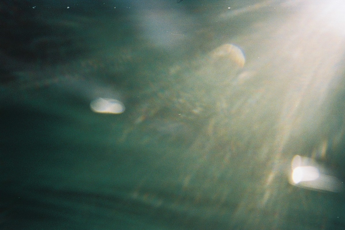 iceland djúpavík disposable camera underwater water photo analog