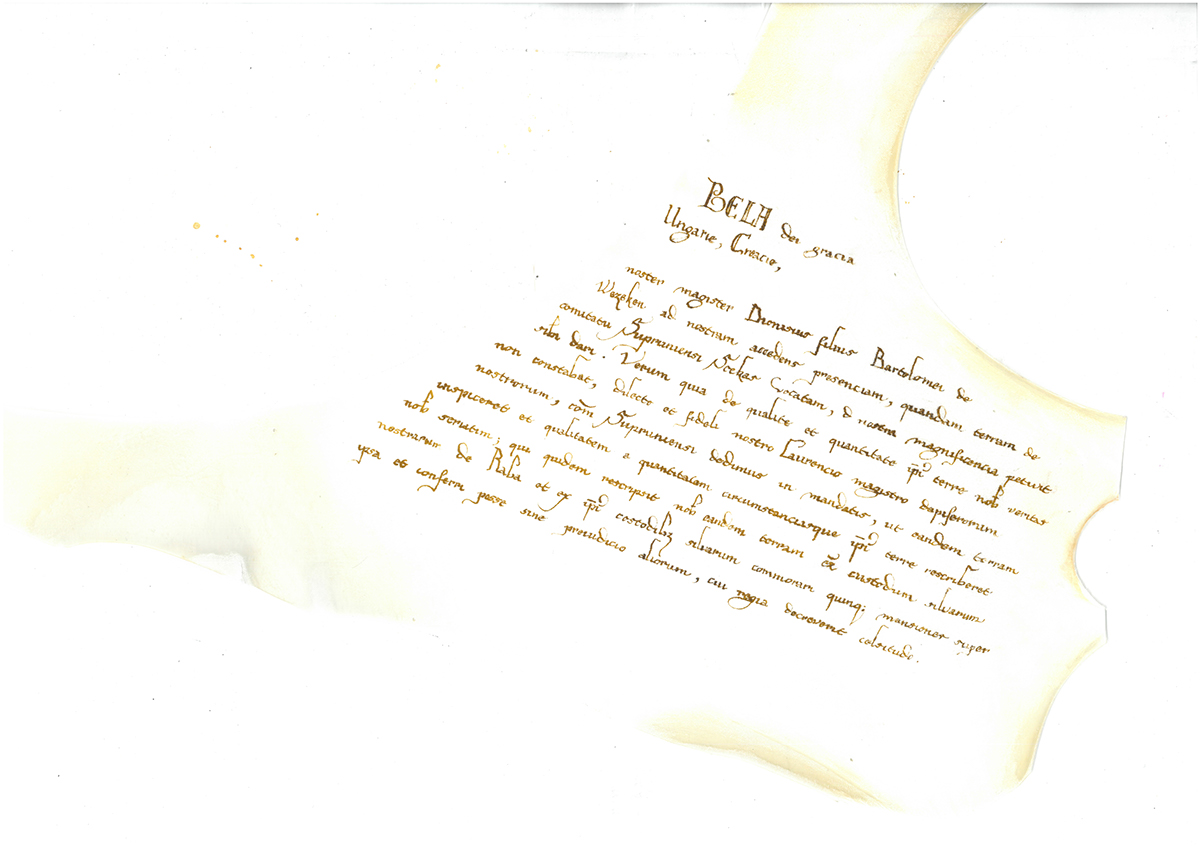 Handwrighting lettering handletters royal diploma oklevél kalligráfia kézírás pergamen