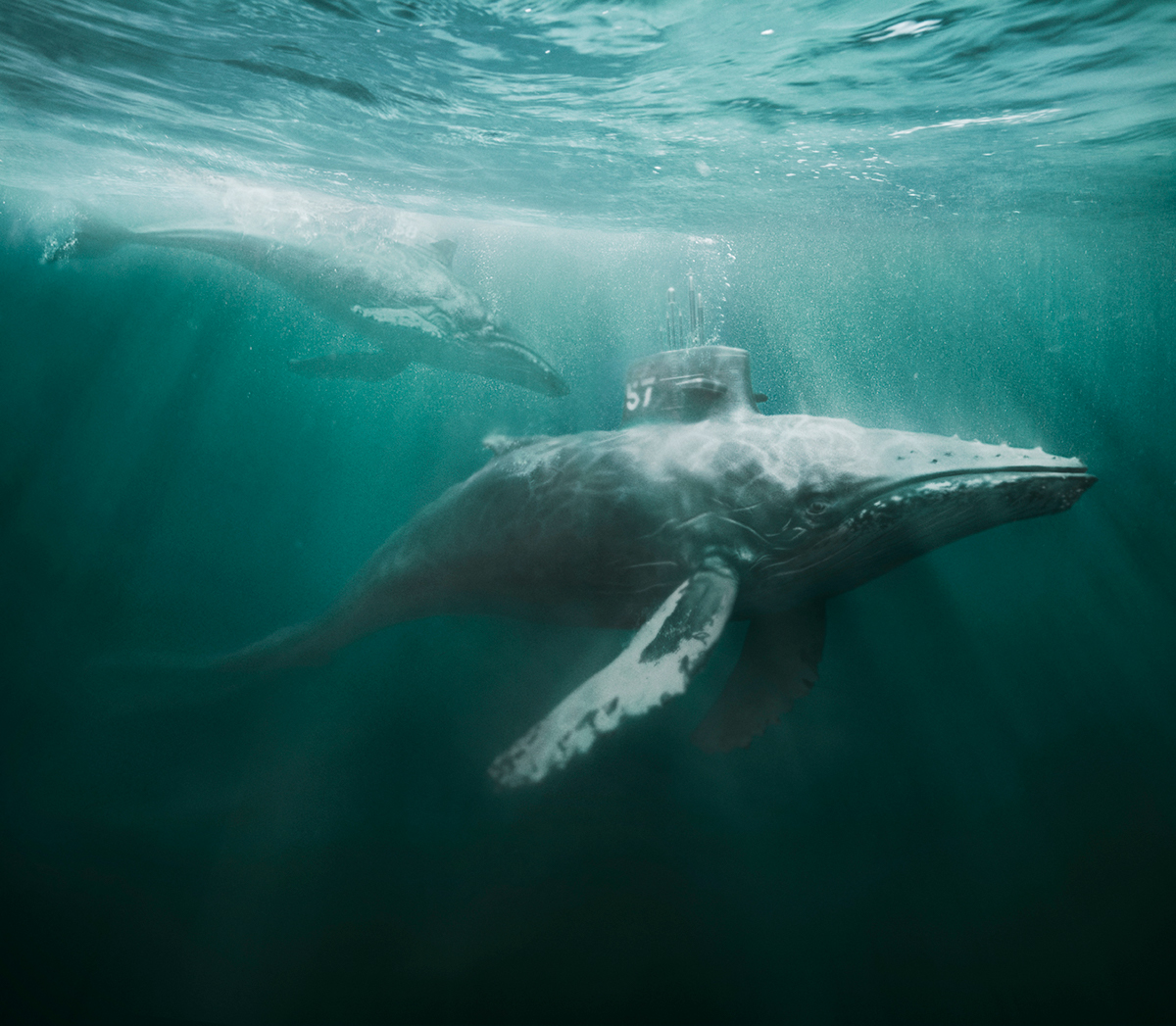 3D CGI Cream Studios Whale 3dsmax vray underwater animal