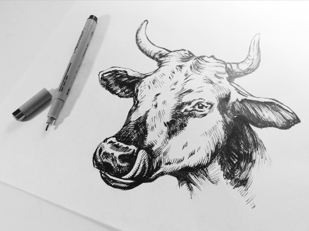 milk Pack eco Packaging cow art Drawing  ink drink