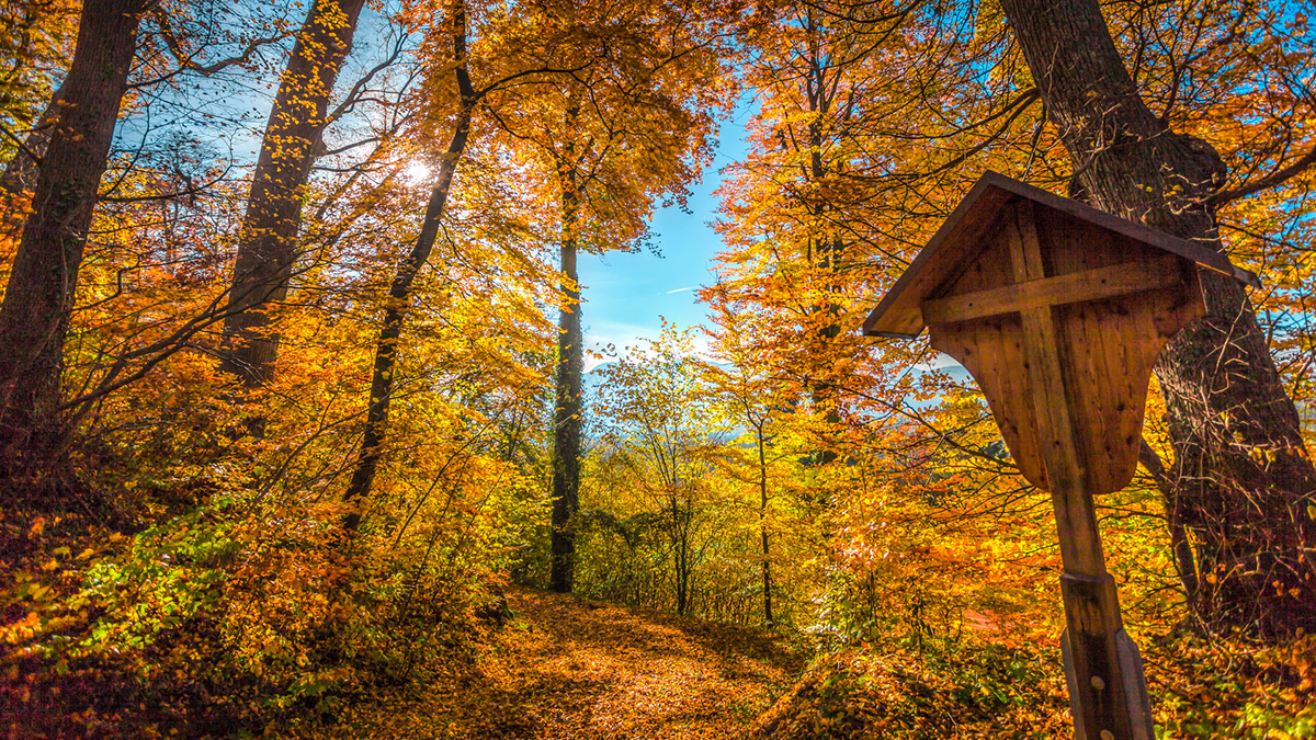neubeuern stoanmandl wolfsschlucht naturart natur Landschaft Landscape color colorful Farbenfroh autumn herbst Serie