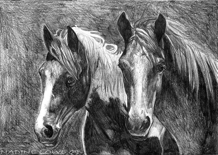 Pencil portraits animal portraits Horse Portraits car portraits fantasy artwork