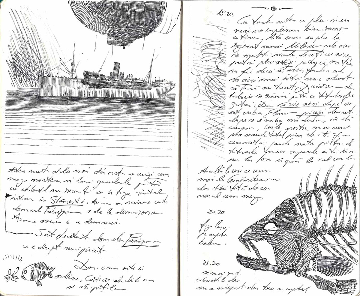 aeroplanes  dirigibles fish book
