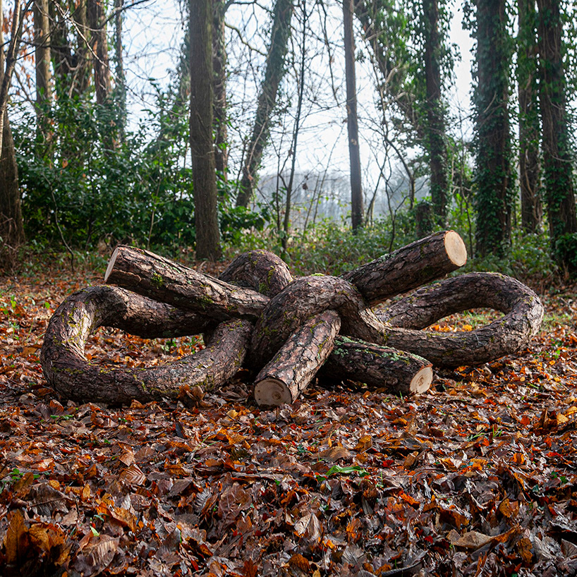 artwork contemporary art forest gallery landart monsieurplant Nature sculpture wood