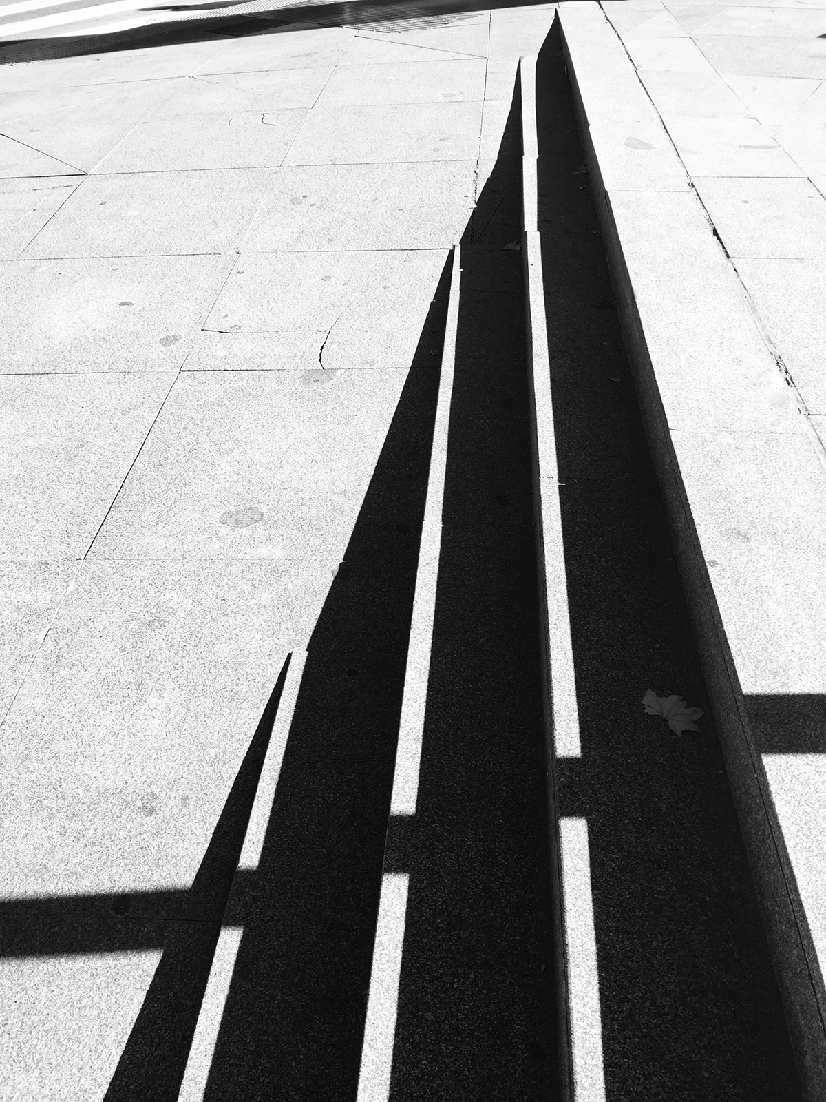Photography  shadow black and white