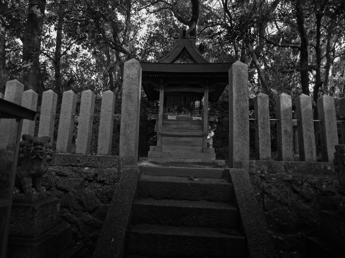 black and white bw monochrome Landscape Asuka Nara japan january Shrine Tumulus ricoh