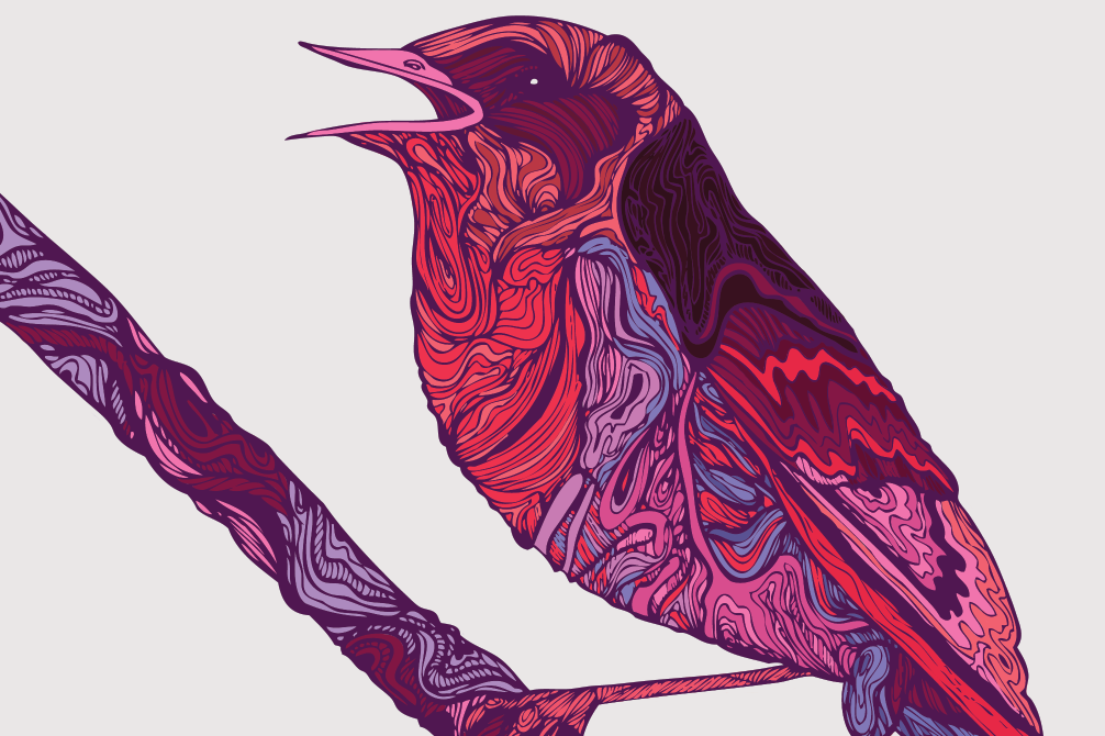 bird robin british Nature brand brunch lines colour iphone5s cover disc t-shirt handmade design poster