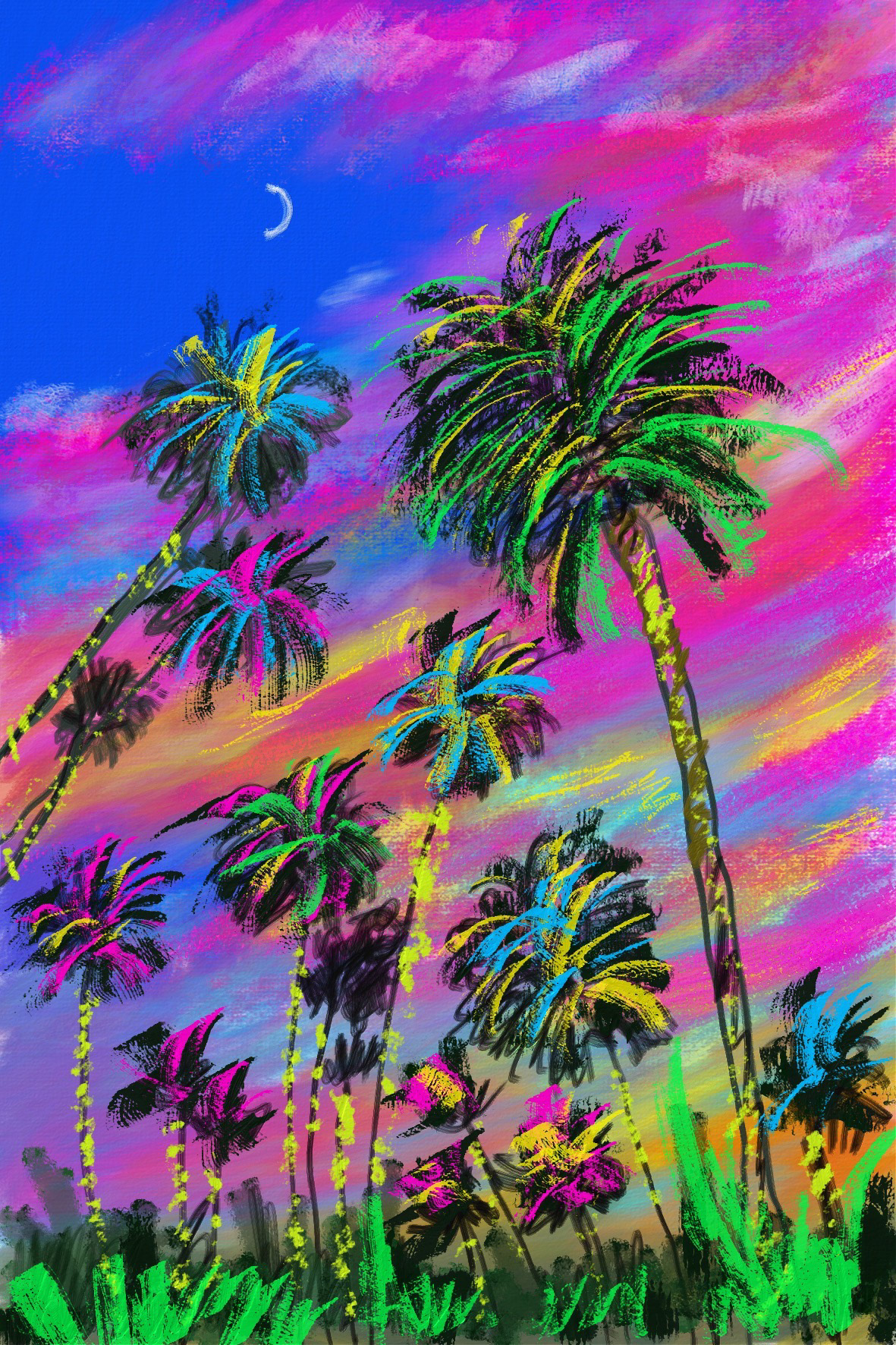 palm summer palmtree print art artwork Procreate digital illustration Digital Art  ILLUSTRATION 