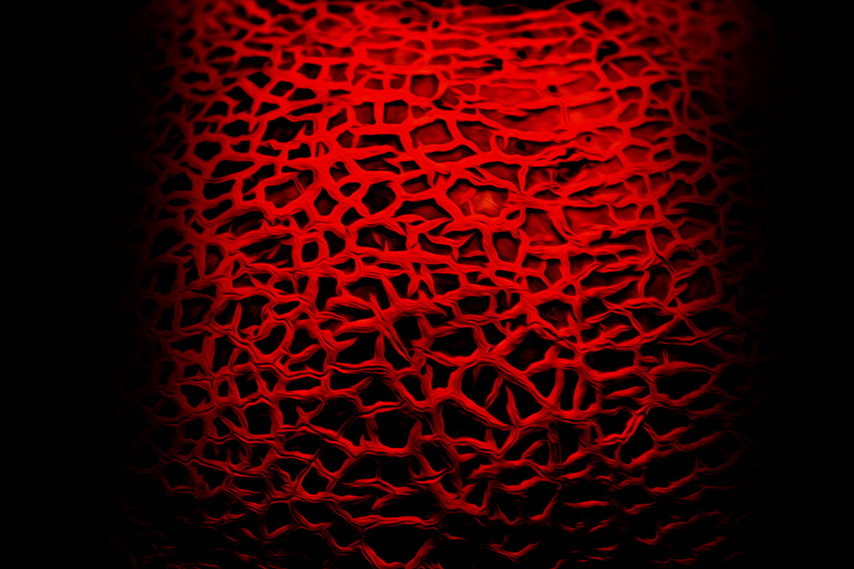 melone textures rosso intenso Decorazione irregolare rete Sangalli andrea rubens frutta