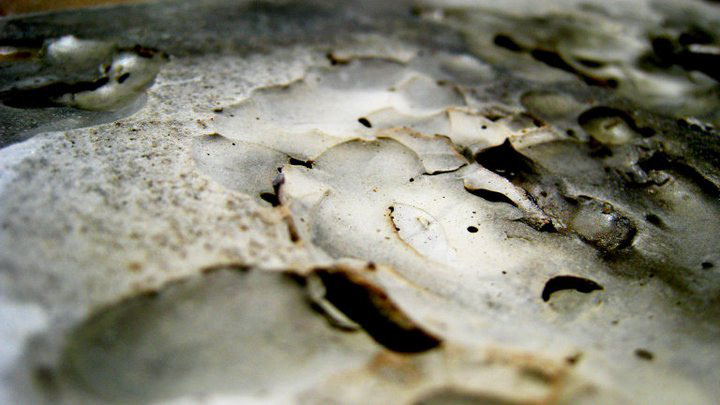 sculpture texture feathers concrete moss Fur