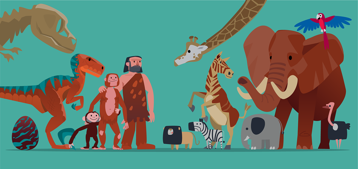 Adobe Portfolio after effects Illustrator motion design studio animation  jungle nice monkey