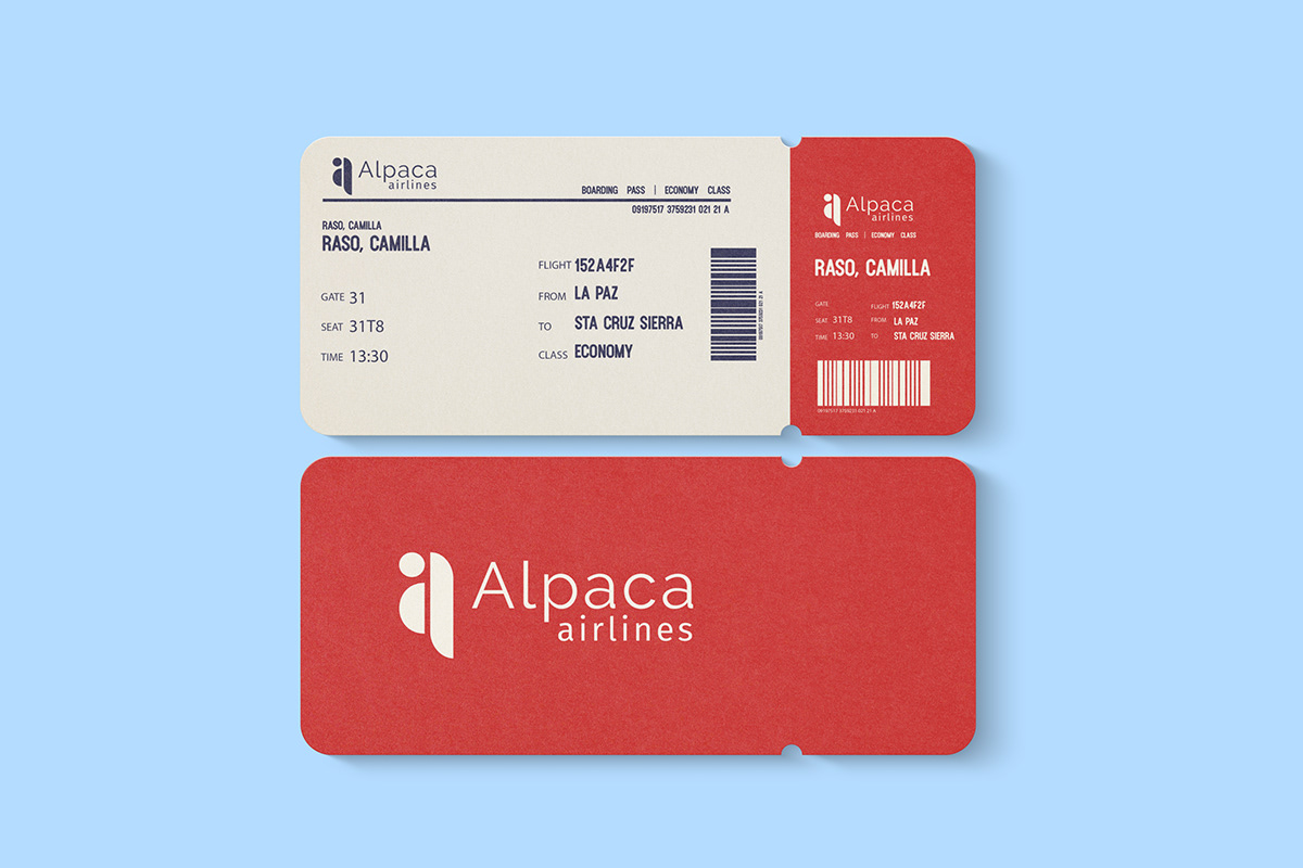 Airlines Branding Brand Design brand identity low cost airlines Photography  typography  