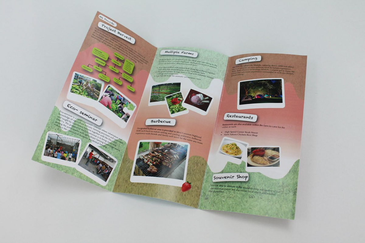 leaflet design leaflet brochure print